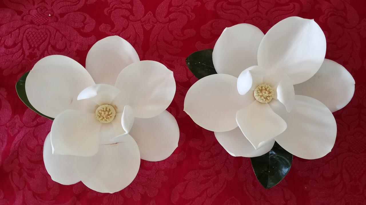 Fruits Of Vienna B&B 외부 사진